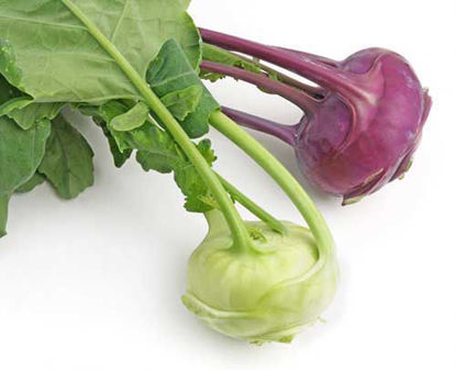 Kohlrabi गांठ गोभी