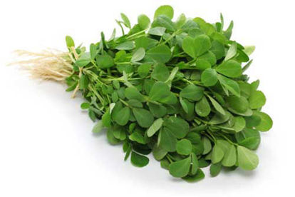 Fenugreek Leaves मेंथी