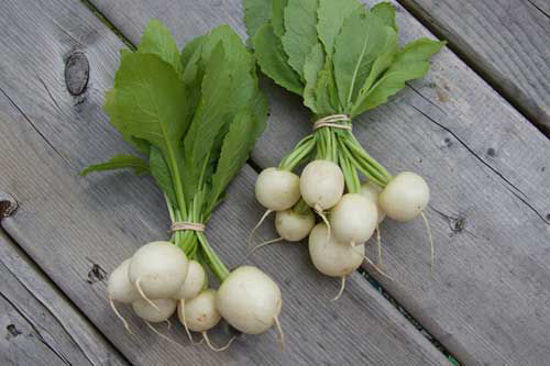 Turnips शलजम