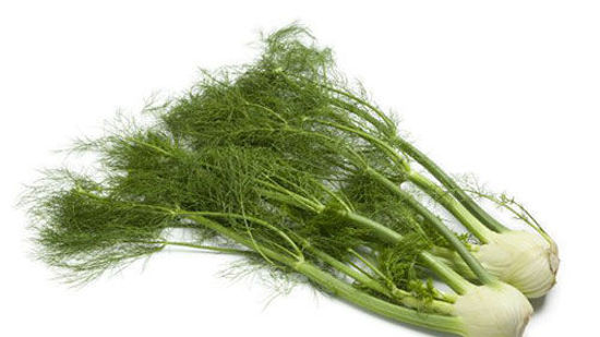 Fennel/Dill = हरा सोया