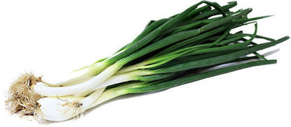 Green onion = हरा प्याज़