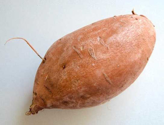 Sweet Potato = शकरकंद