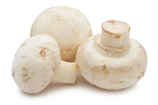 Mushroom = कुकुरमुत्ता