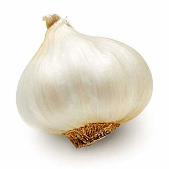 Garlic = लहसुन