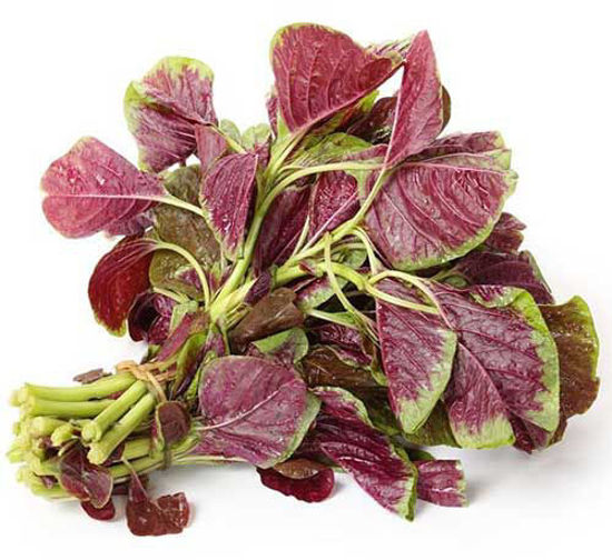 Amaranth Leaves = हरी चोलाई