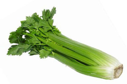 Celery = अजवायन