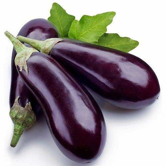 Brinjal = बैंगन