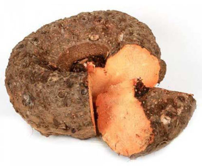 Elephant Foot Yam = जिमीकंद