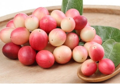 Natal Plum = करोंदा