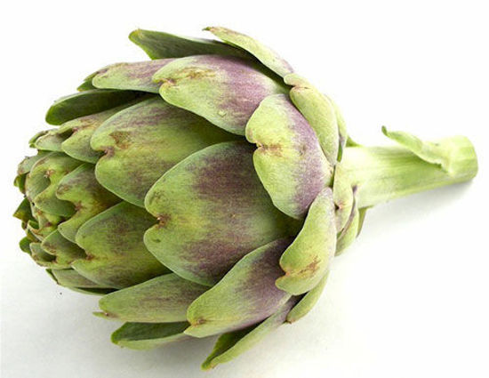 Artichoke = हाथी चक