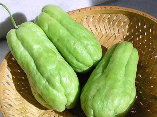 Chayote/Chow Chow = इस्कुस