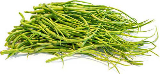 Radish Pods = सेंगरी की फली