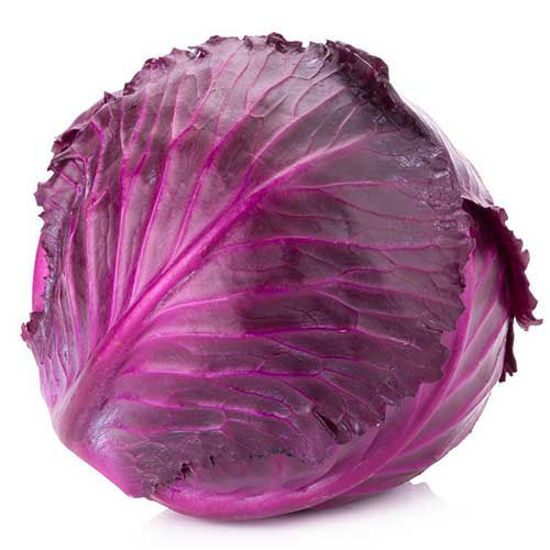 Red Cabbage = लाल पत्तागोभी