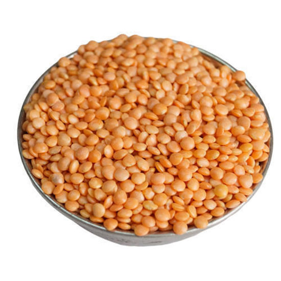 whole Red Lentil = मलका की दाल/मलका मसूर/मसूर की 