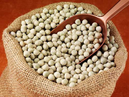 Dry Peas/White Peas = सूखी मटर/सफ़ेद मटर