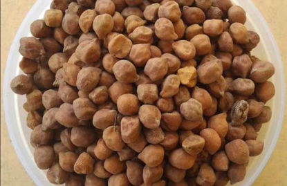 Black Chickpeas = काला चना