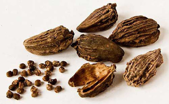 Black Cardamom = काली इलाइची/ बड़ी इलाइची