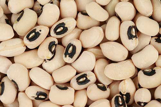 Black-Eyed Pea/Black eyed Beans/Alubia/Cowpea = लोबिया/सफ़ेद राजमा