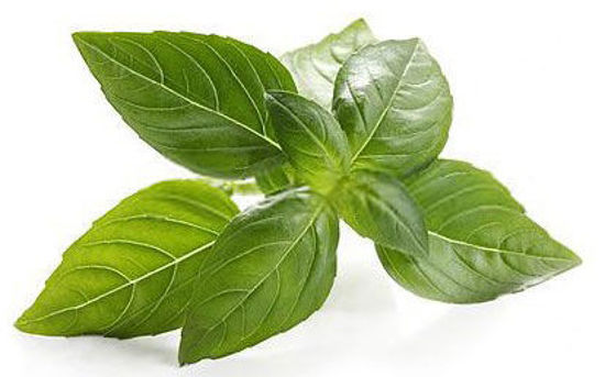 Basil Leaves = तुलसी के पत्ते