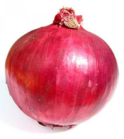 Onion = प्याज़